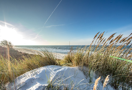 Kostbarkeiten aus dem Meer
